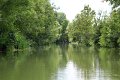 (37) Le Marais Poitevin